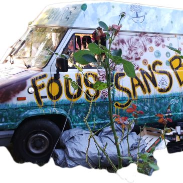 Description petite poépsy