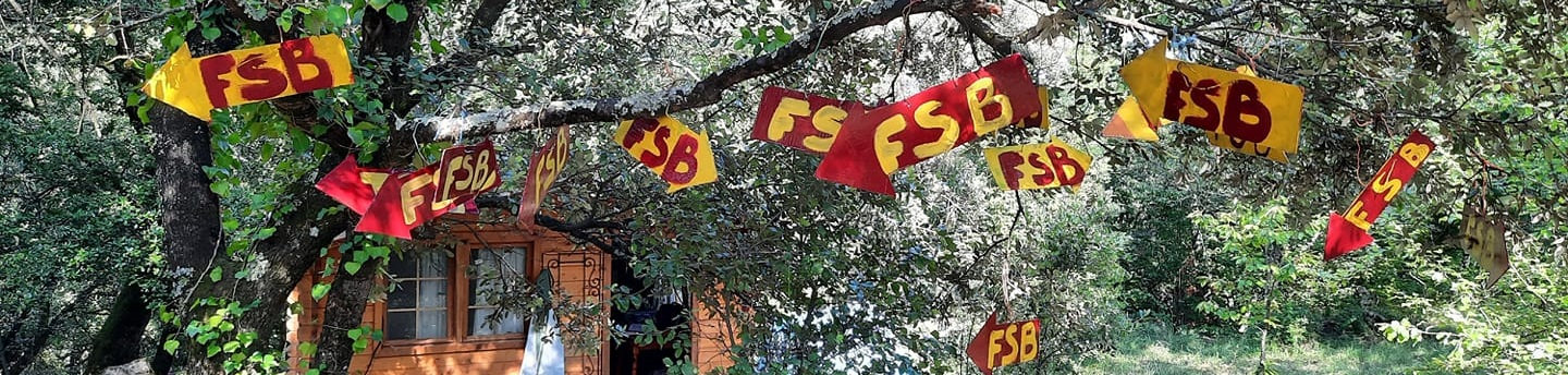 Flèche Fous sans blanc